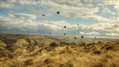 3-nights/2 full days Oregon Upland Wingshooting for Two Hunters 