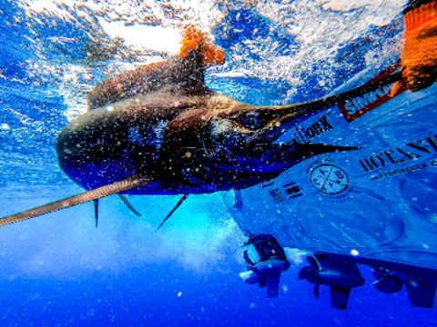 5-day Costa Rica Adventure, Including Three Days of Fishing for Two Anglers 