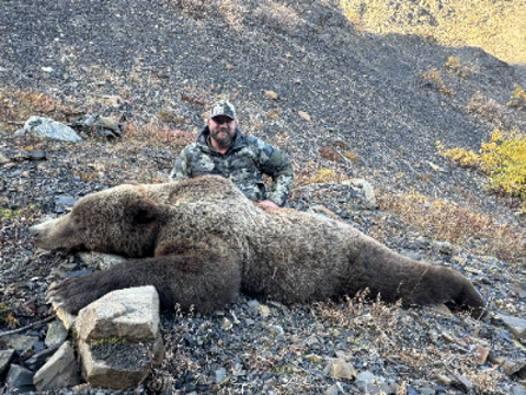 10-day Alaska Brown Bear Hunt for One Hunter 