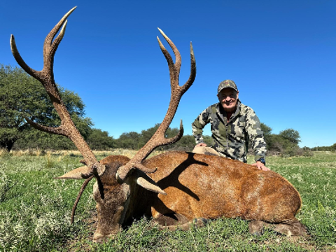 7-day Argentina Free Range Red Stag, Blackbuck and European Boar Hunt for Two Hunters