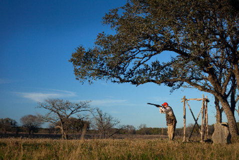 2-day Texas Upland & Driven Wingshooting Package for Four Hunters 