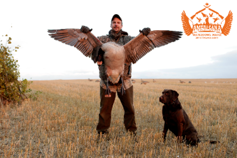 3-day Alberta Geese and Duck Hunt for Two Hunters 