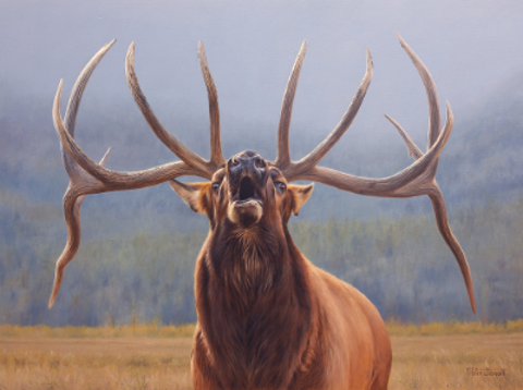 Original Oil Painting on Canvas Titled 'Display Rack' by Peter Stewart Fine Art