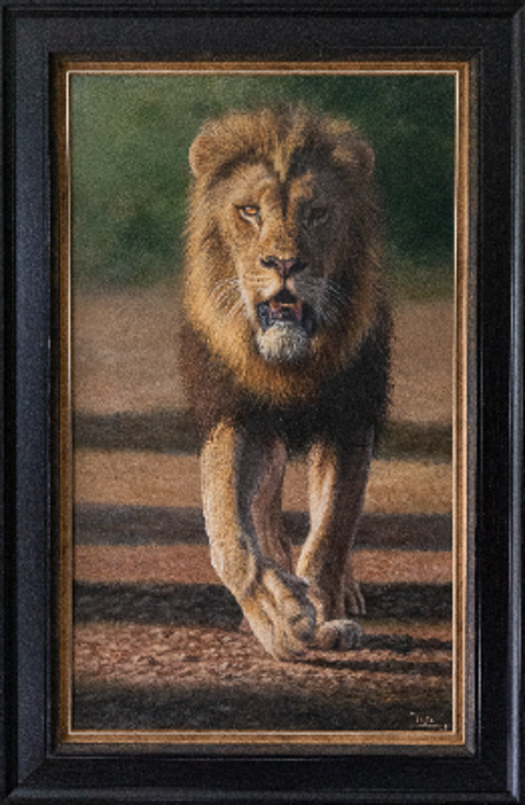 Eye Contact Original Art by Ilse De Villiers