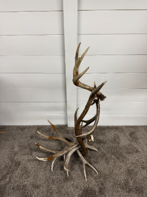 Handcrafted Antler Guitar Stand by Terry Wilson Antler Designs