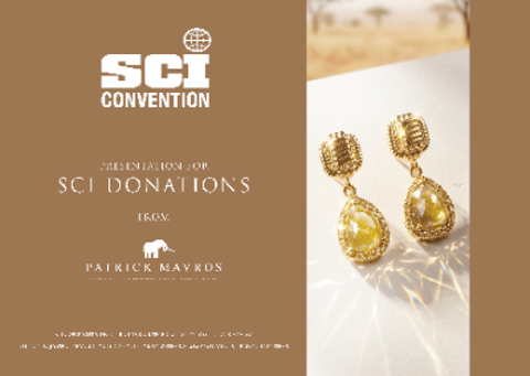 Handcrafted Gold Elephant Hair Bracelet and 18K Yellow Gold Earrings by Patrick Mavros