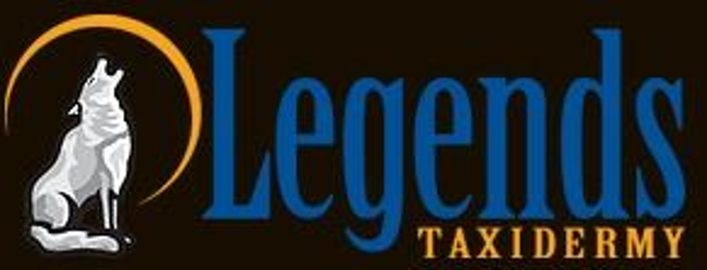 Taxidermy Services for One Custom Life-Size Leopard Mount