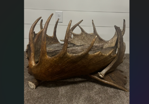 Moose Antler Log Rack Terry Wilson Antler Designs