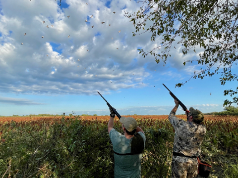 4-day Argentina High Volume Dove Shoot for Twelve Hunters 