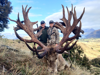 5-day New Zealand Red Deer Hunt up to 400 SCI for Two Hunters