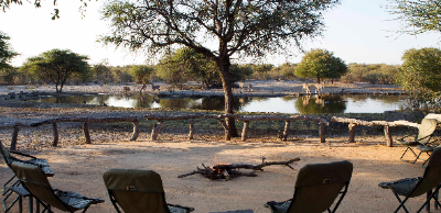 7-day Botswana Gemsbok, Eland, Blue Wildebeest and Zebra Hunt for One Hunter and One Non-hunter 