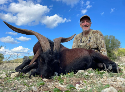 5-day Spain Balerarian Goat and Roe Deer Hunt plus Bull Fight Experience for Two Hunters and Two Non-hunters 