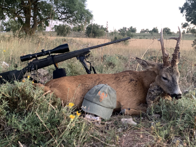 5-day Spain Balerarian Goat and Roe Deer Hunt plus Bull Fight Experience for Two Hunters and Two Non-hunters 
