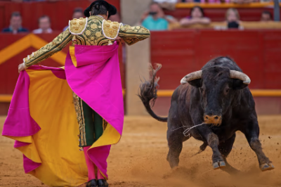 5-day Spain Balerarian Goat and Roe Deer Hunt plus Bull Fight Experience for Two Hunters and Two Non-hunters 