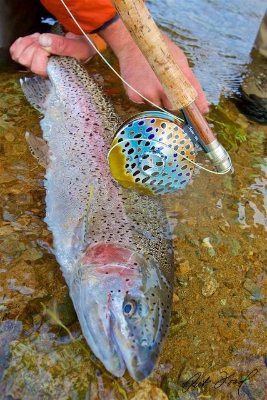 6-day Alaska Halibut, Grayling, Salmon and Rainbow Trout Fishing Trip for Two Anglers 