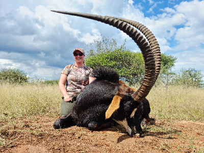 7-day South Africa Sable and Roan Hunt for Two Hunters 