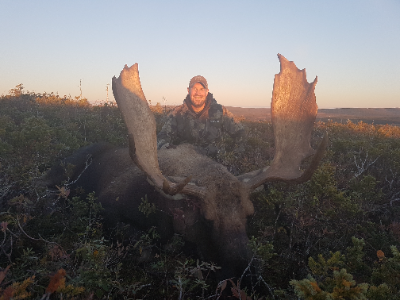 6-day Newfoundland Eastern Canada Moose Hunt for One Hunter and One Non-hunter 