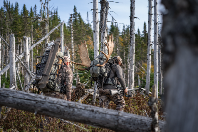 6-day Newfoundland Eastern Canada Moose Hunt for One Hunter and One Non-hunter 