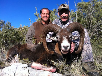 6-day Spain Iberian Mouflon Hunt for One Hunter and One Non-hunter 
