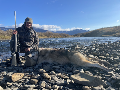 10-day Alaska Peninsula Brown Bear Hunt for One Hunter