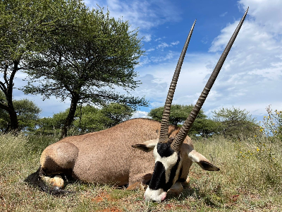 8-day South Africa Pains Game Hunt for Two Hunters 