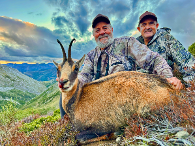9-day Spain  Cantabrian Chamois (Gold Medal) and Iberian Mouflo Hunt for Two Hunters 