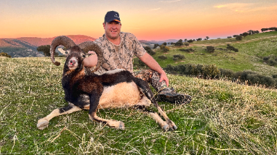 9-day Spain  Cantabrian Chamois (Gold Medal) and Iberian Mouflo Hunt for Two Hunters 