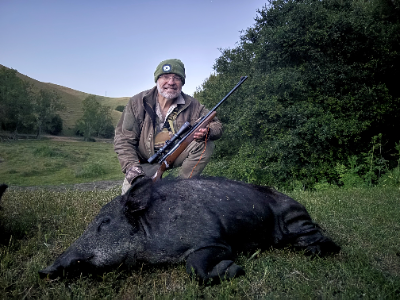 3-day California Hog Hunt for Two Hunters and Two Non-Hunters 