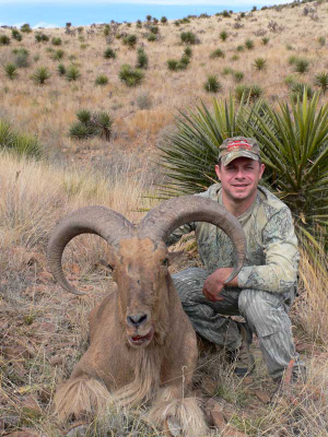 5-day Texas Aoudad Hunt for One Hunter 