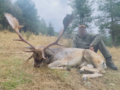7-day/6-night Spain Fallow Deer and Roe Deer hunt for Two Hunters and Two Non-Hunters 