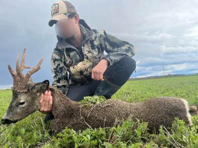 7-day/6-night Spain Fallow Deer and Roe Deer hunt for Two Hunters and Two Non-Hunters 