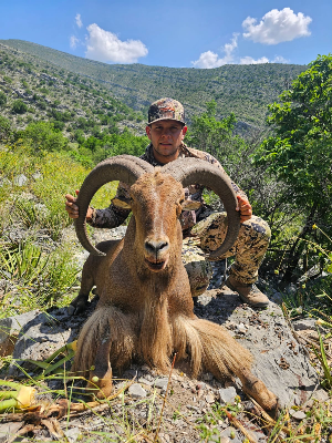 4-day Mexico Aoudad Hunt for One Hunter 