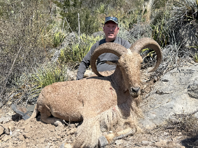4-day Mexico Aoudad Hunt for One Hunter 