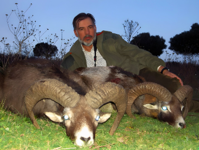 5-day Spain Bronze Medal Iberian Mouflon Hunt for One Hunter and One Non-Hunter 