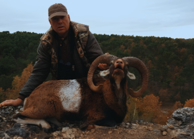 5-day Spain Bronze Medal Iberian Mouflon Hunt for One Hunter and One Non-Hunter 